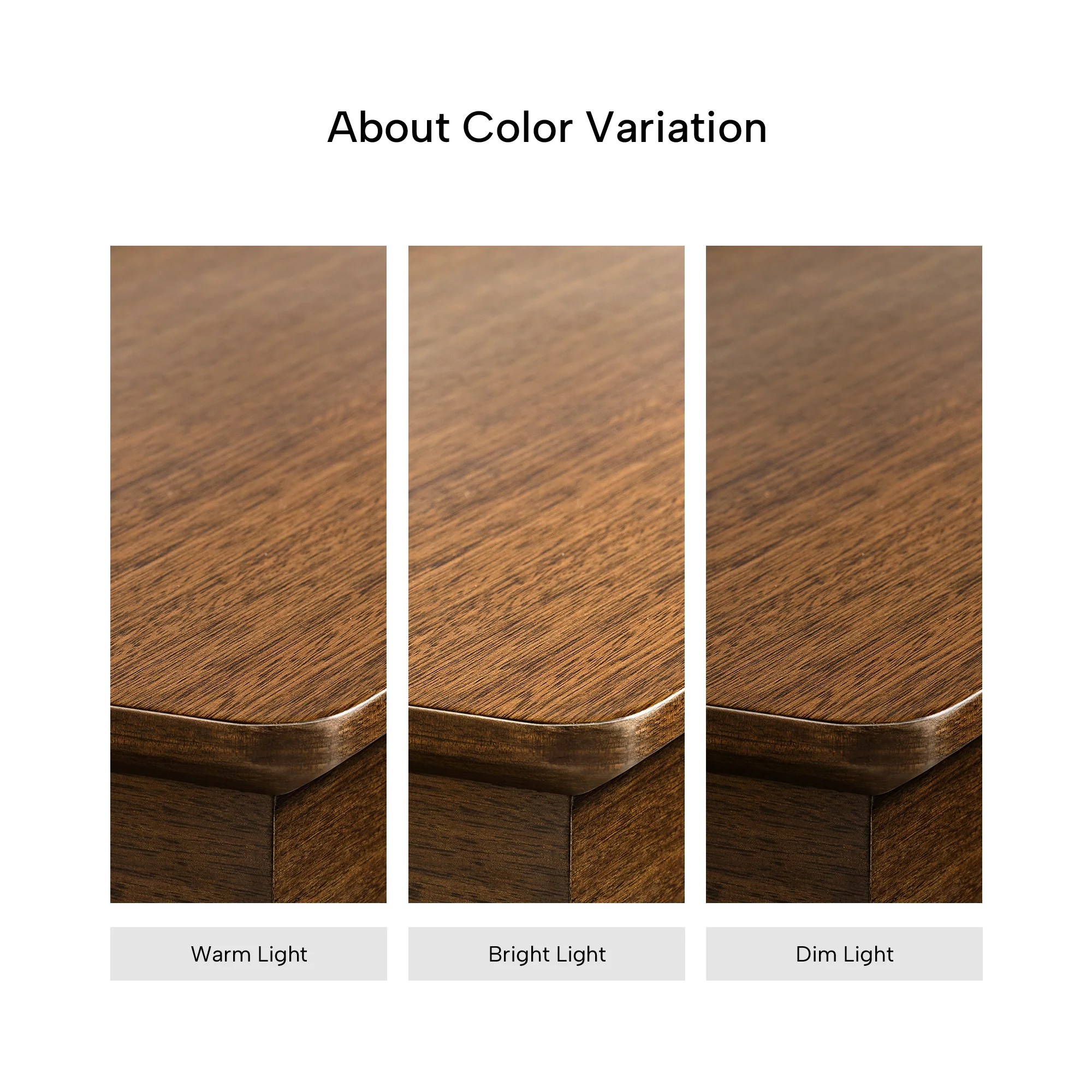 Ark Executive Standing Desk (63"x29") - Image 19