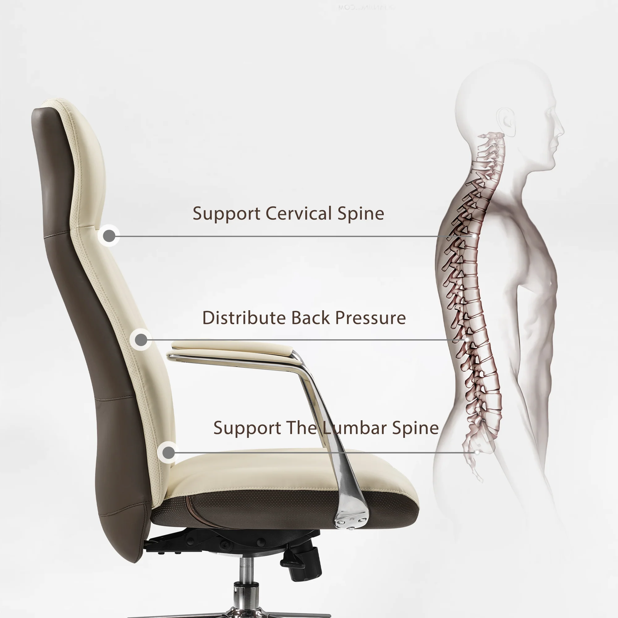 Royal Slim, Executive Office Chair - Image 8